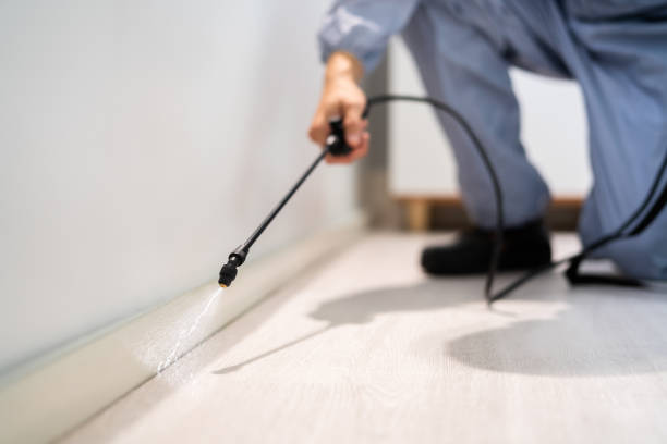 Licensed Fumigation Services service in Elsberry, MO - Nex Pest Control