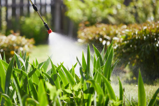 24/7 Emergency Fumigation Services experts in Elsberry, MO