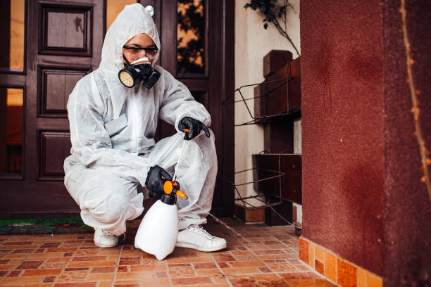Reliable Fumigation Services contractor in Elsberry, MO by Nex Pest Control